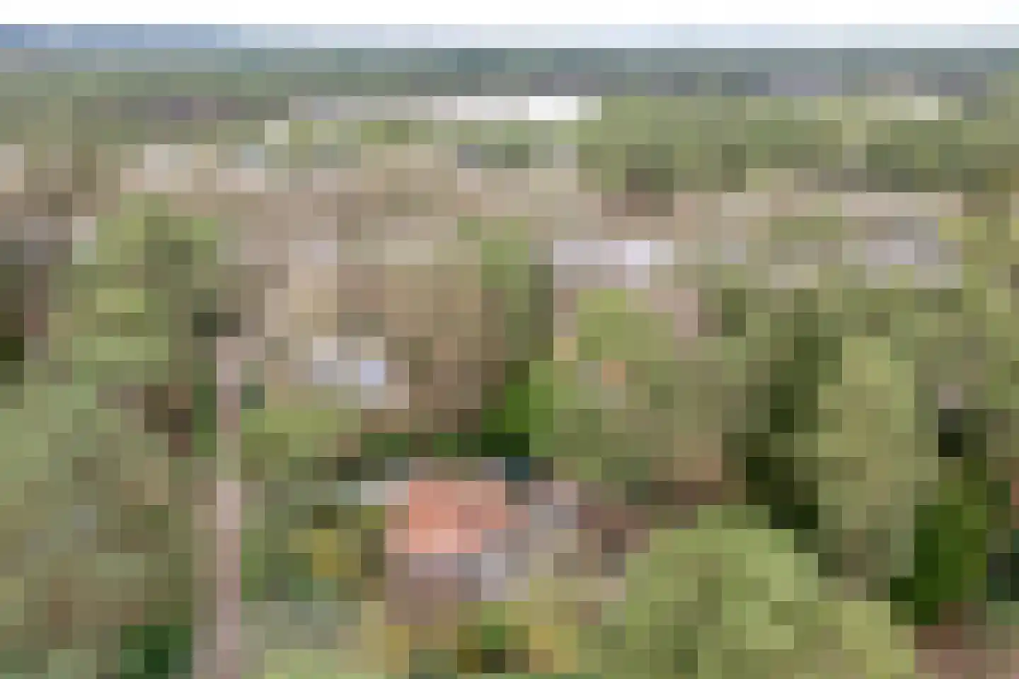 Laan van Laag Kanje 43 r 1 Maarn thumbnail 37