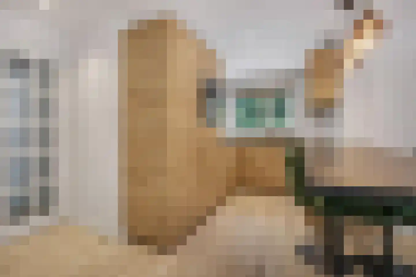 Laan van Laag Kanje 72 r 1 Maarn thumbnail 13