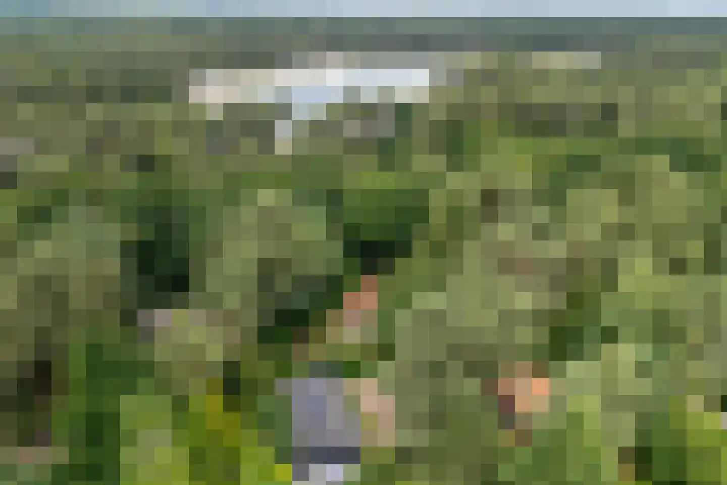 Laan van Laag Kanje 72 r 1 Maarn thumbnail 43