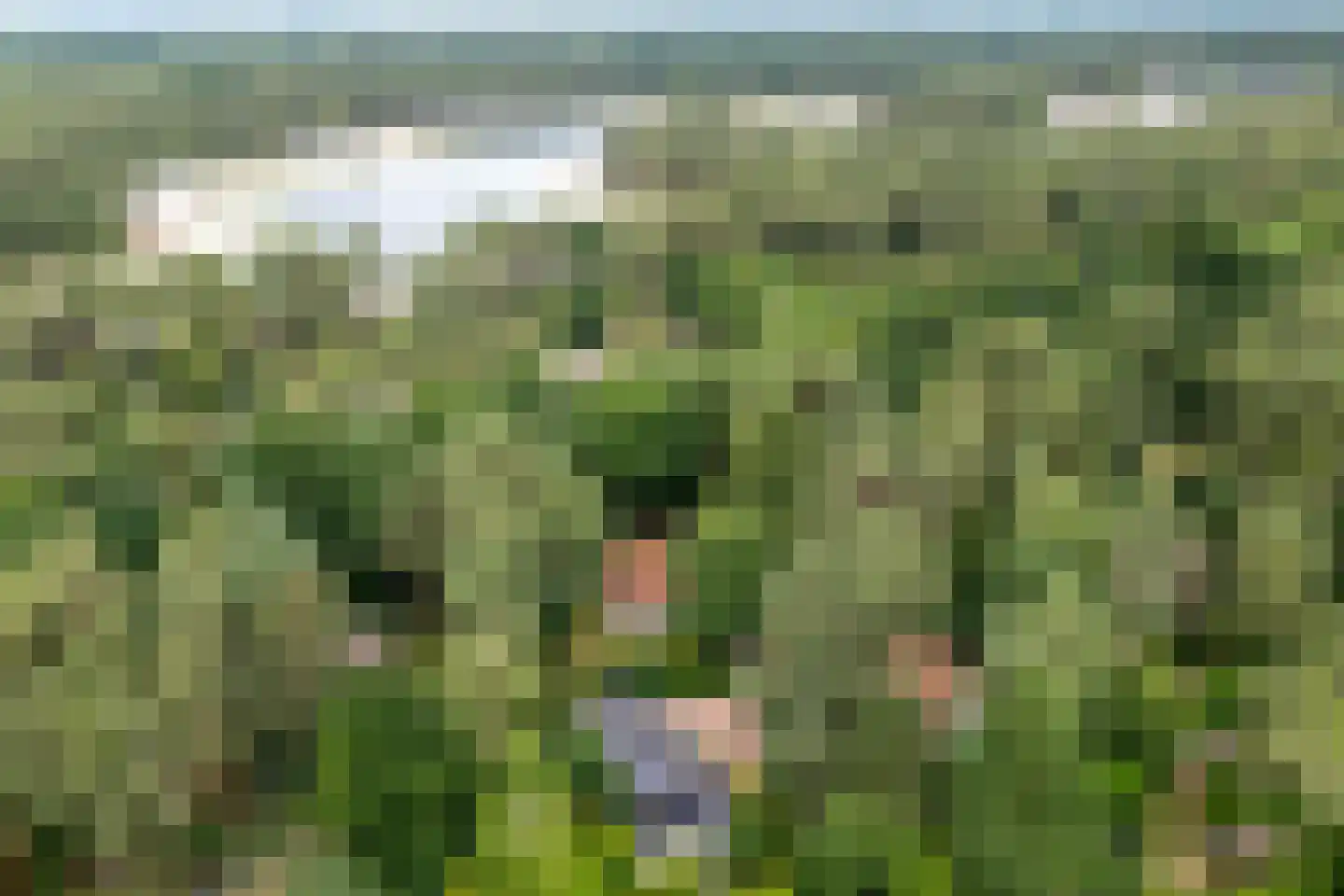 Laan van Laag Kanje 72 r 1 Maarn thumbnail 44