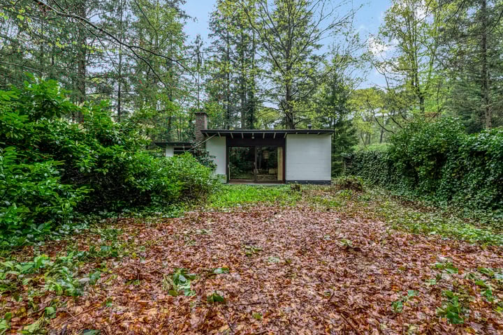 Laan van Laag Kanje 7r-1 in Maarn Foto