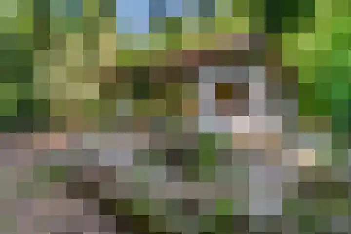 Laan van Laag Kanje 91 r 1 Maarn thumbnail 19