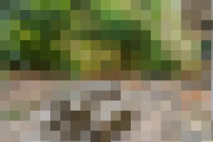 Laan van Laag Kanje 91 r 1 Maarn thumbnail 20