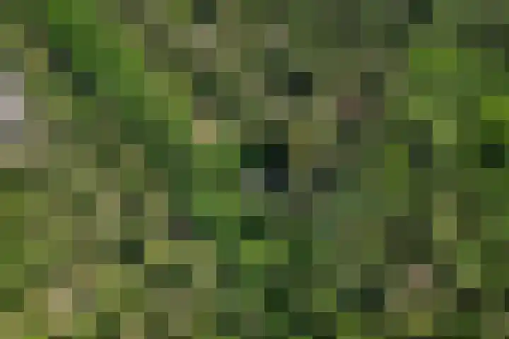 Laan van Laag Kanje 91 r 1 Maarn thumbnail 23