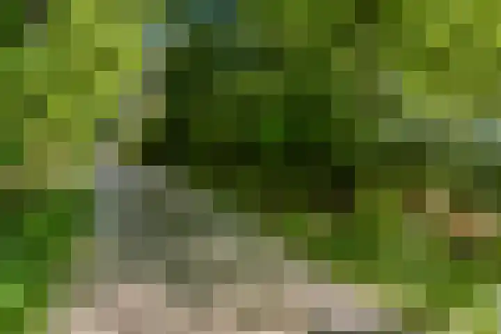Laan van Laag Kanje 91 r 1 Maarn thumbnail 25
