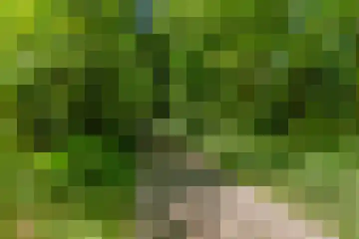 Laan van Laag Kanje 91 r 1 Maarn thumbnail 26