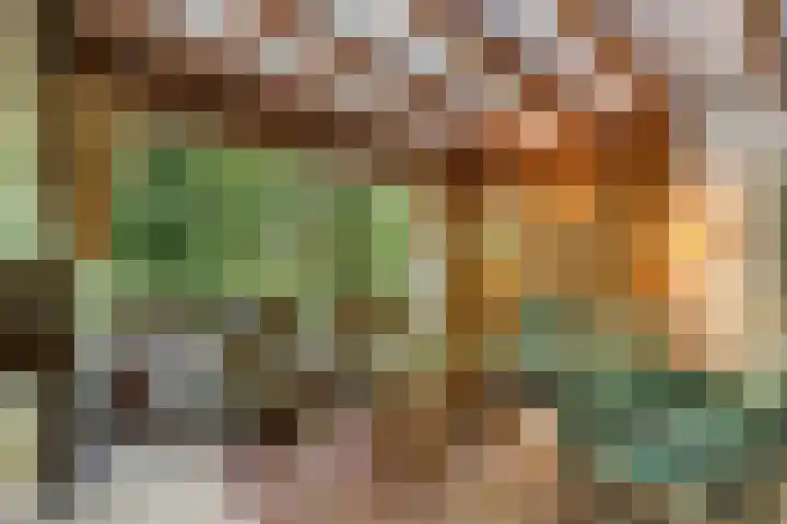 Laan van Laag Kanje 91 r 1 Maarn thumbnail 6