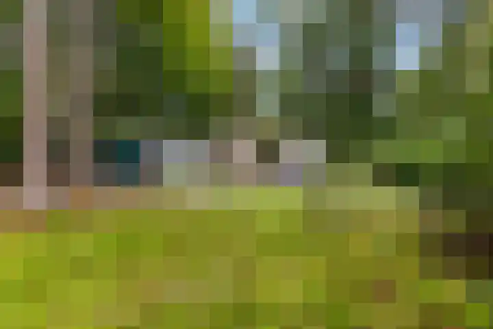 Laan van Laag Kanje 96 r 1 Maarn thumbnail 18