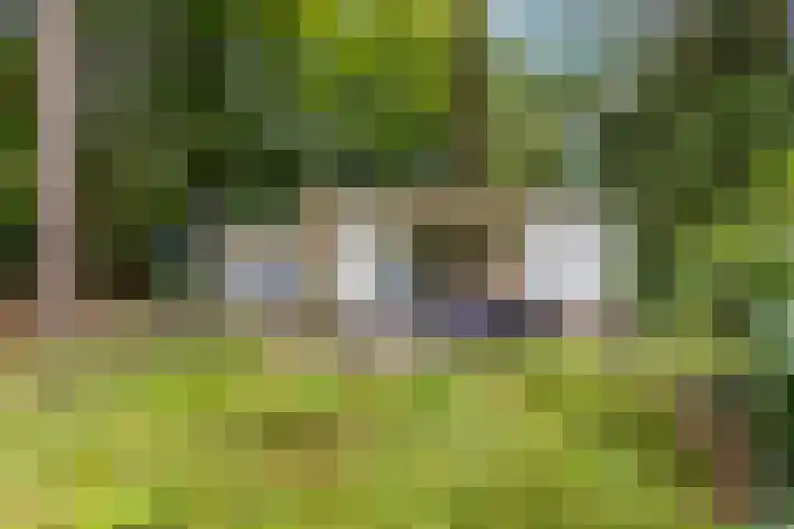 Laan van Laag Kanje 96 r 1 Maarn foto 2