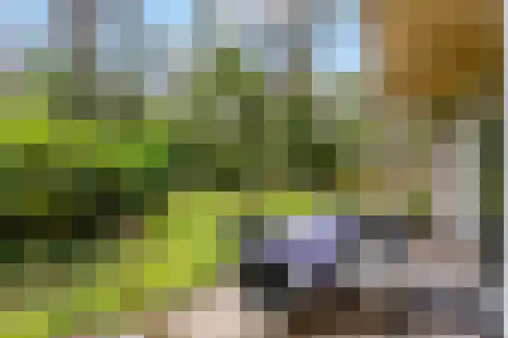 Laan van Laag Kanje 96 r 1 Maarn thumbnail 20