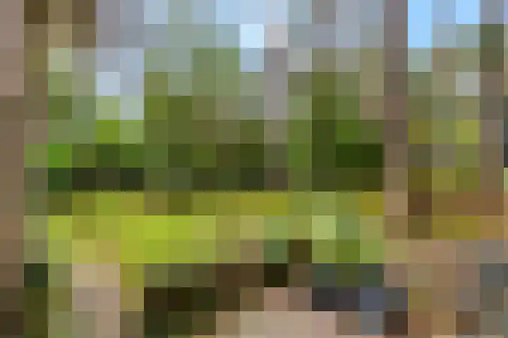 Laan van Laag Kanje 96 r 1 Maarn thumbnail 21