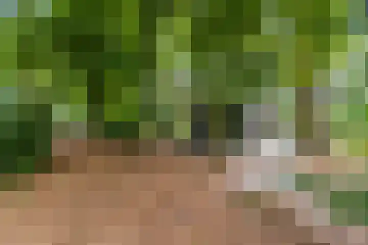 Laan van Laag Kanje 96 r 1 Maarn thumbnail 22