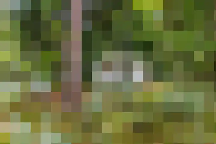 Laan van Laag Kanje 96 r 1 Maarn thumbnail 23