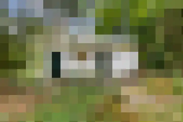 Laan van Laag Kanje 96 r 1 Maarn thumbnail 24
