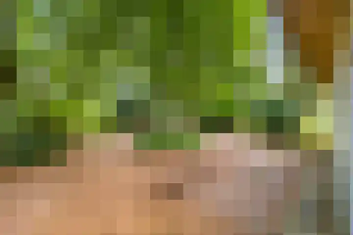 Laan van Laag Kanje 96 r 1 Maarn thumbnail 25