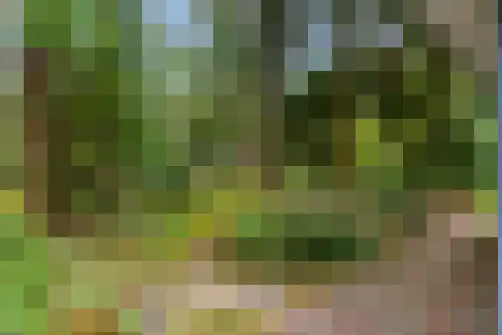 Laan van Laag Kanje 96 r 1 Maarn thumbnail 26