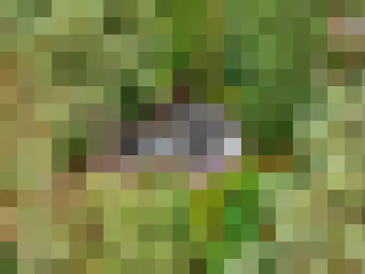 Laan van Laag Kanje 96 r 1 Maarn thumbnail 28
