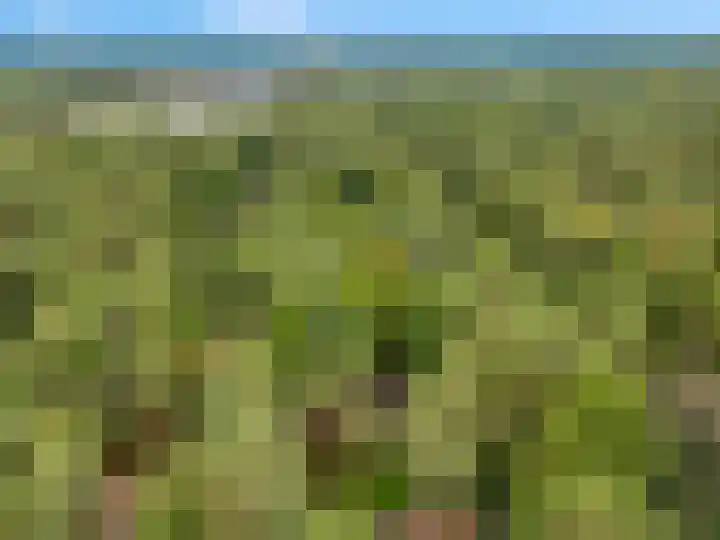Laan van Laag Kanje 96 r 1 Maarn thumbnail 29