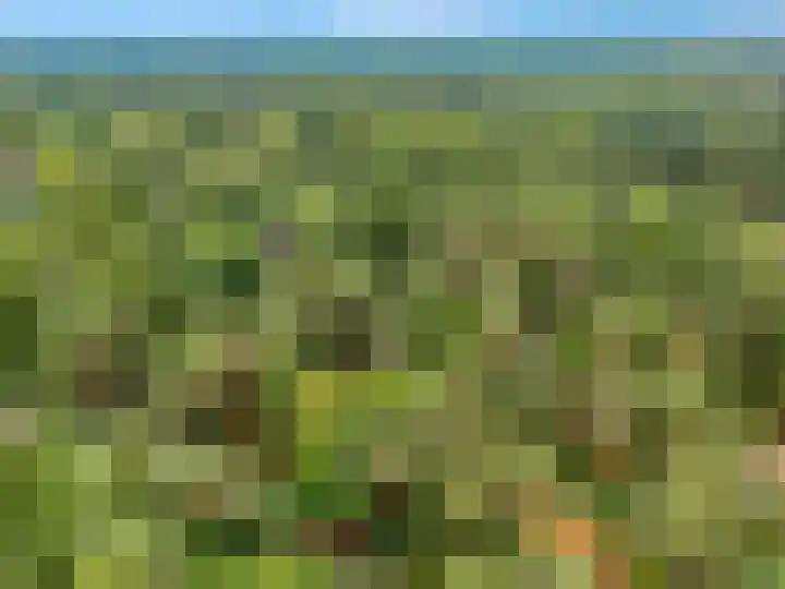 Laan van Laag Kanje 96 r 1 Maarn thumbnail 30
