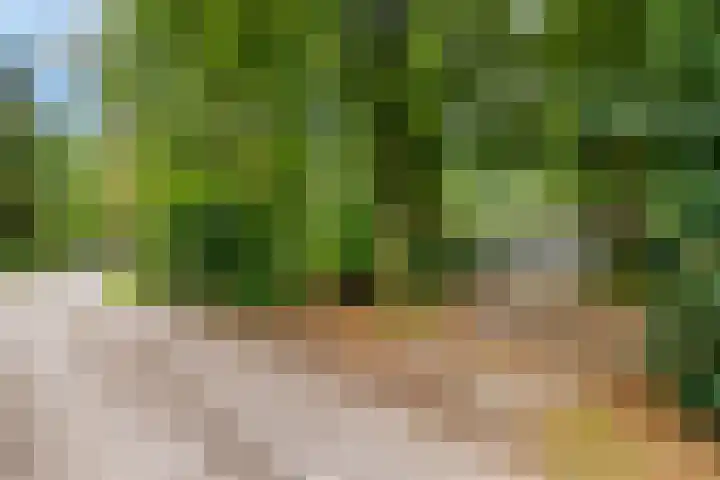 Laan van Laag Kanje 96 r 1 Maarn thumbnail 32