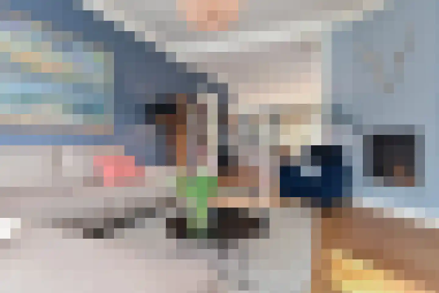 Laan van Leeuwesteyn 28 Voorburg thumbnail 20