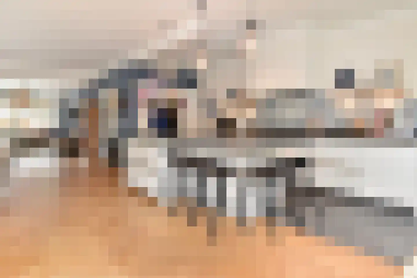 Laan van Leeuwesteyn 28 Voorburg thumbnail 29