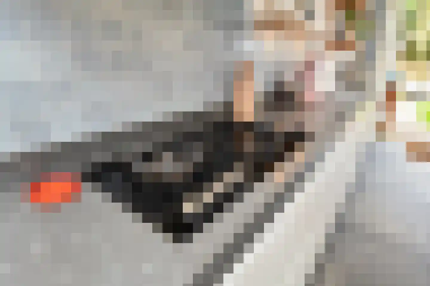 Laan van Leeuwesteyn 28 Voorburg thumbnail 37