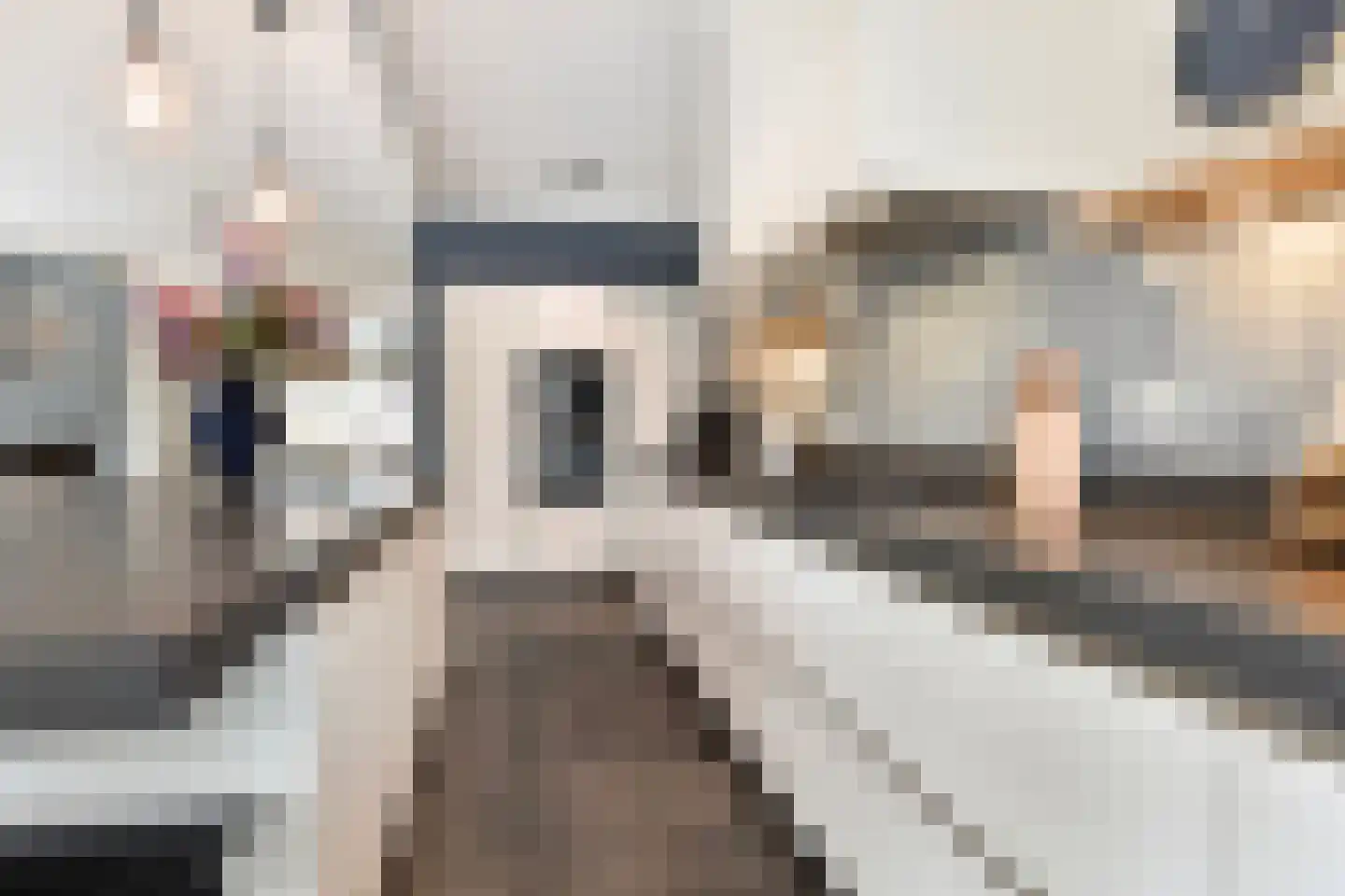 Laan van Leeuwesteyn 28 Voorburg thumbnail 39