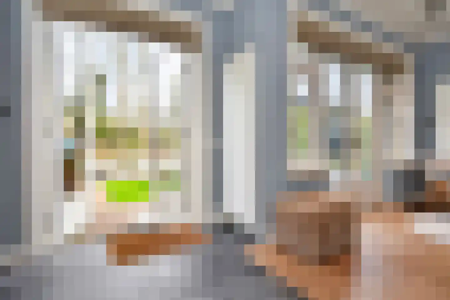 Laan van Leeuwesteyn 28 Voorburg thumbnail 40