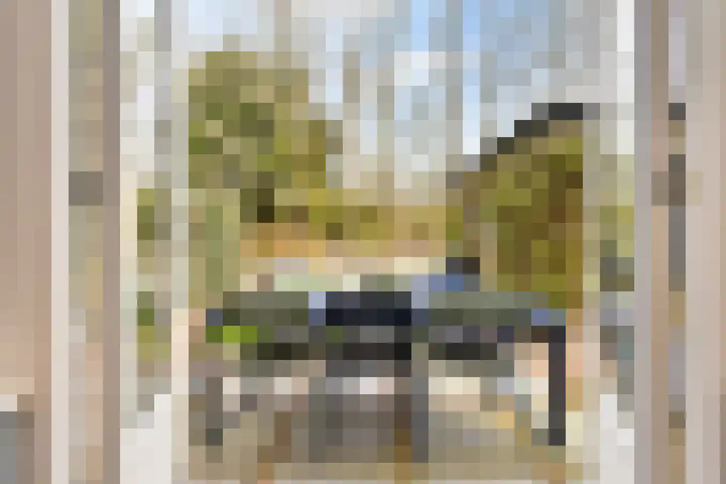 Laan van Leeuwesteyn 28 Voorburg thumbnail 41
