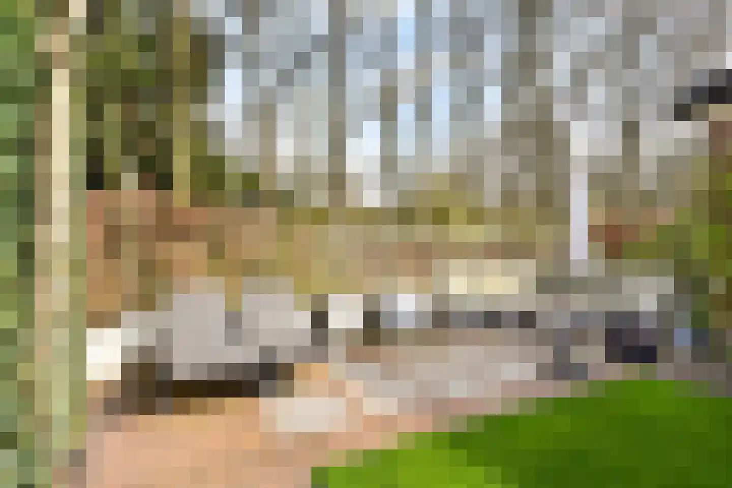 Laan van Leeuwesteyn 28 Voorburg thumbnail 49