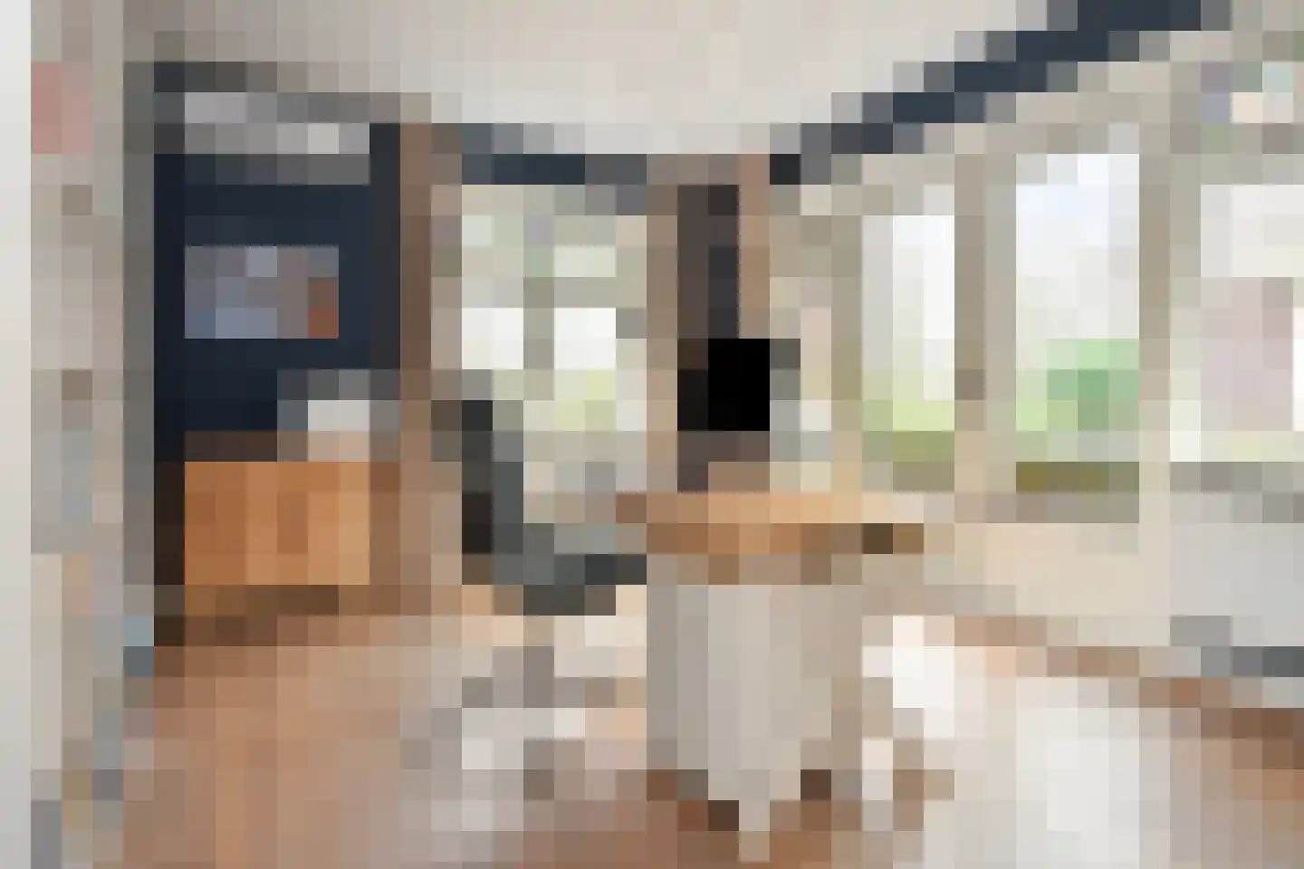 Laan van Leeuwesteyn 28 Voorburg thumbnail 5