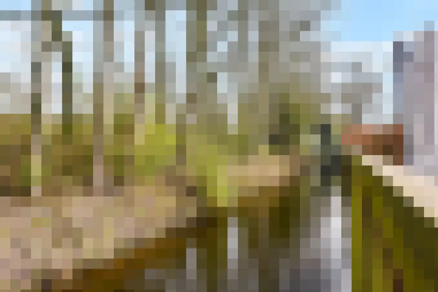 Laan van Leeuwesteyn 28 Voorburg thumbnail 50