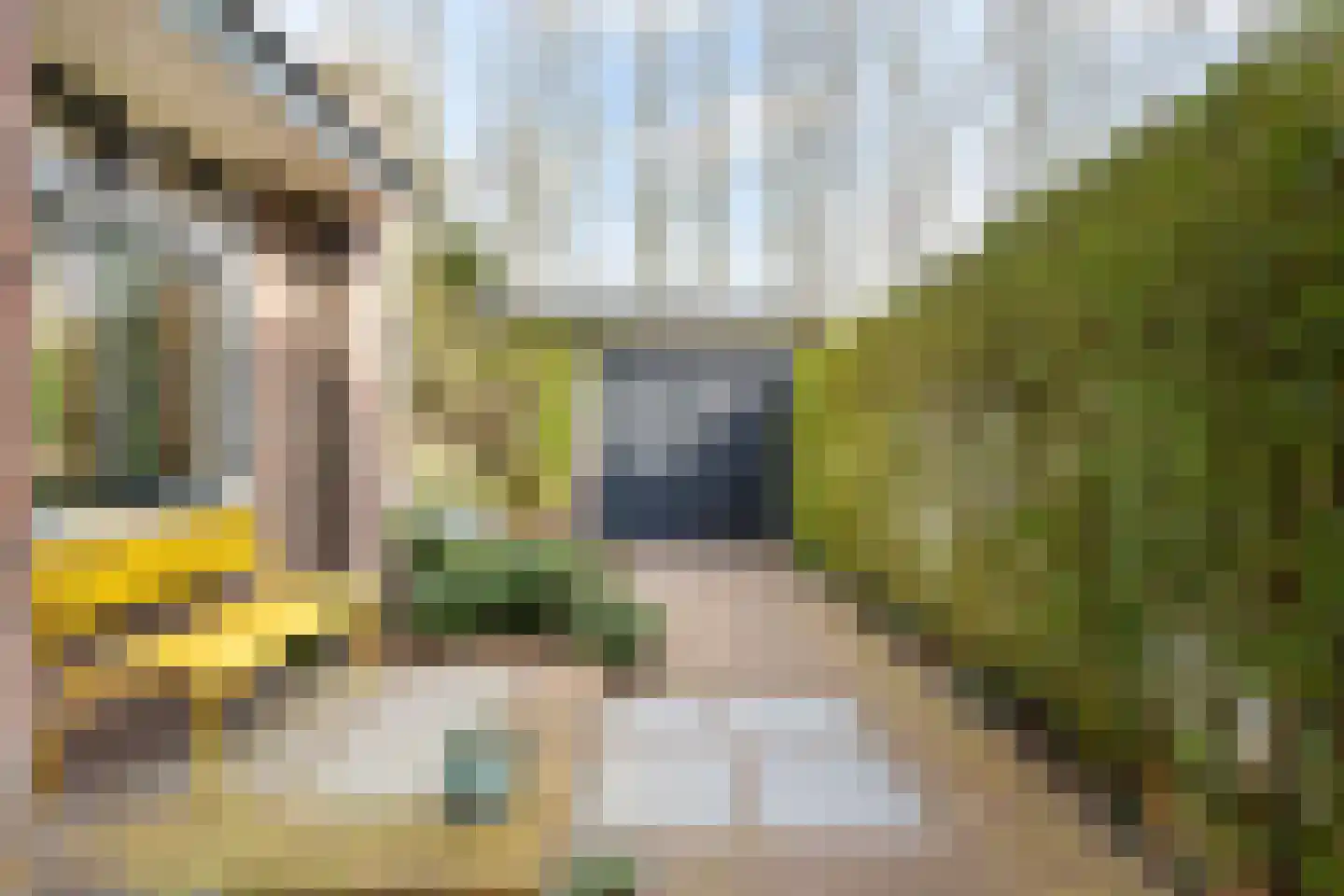 Laan van Leeuwesteyn 28 Voorburg thumbnail 54