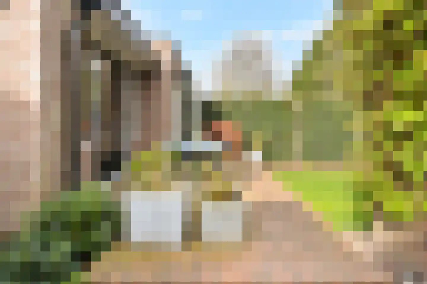Laan van Leeuwesteyn 28 Voorburg thumbnail 55