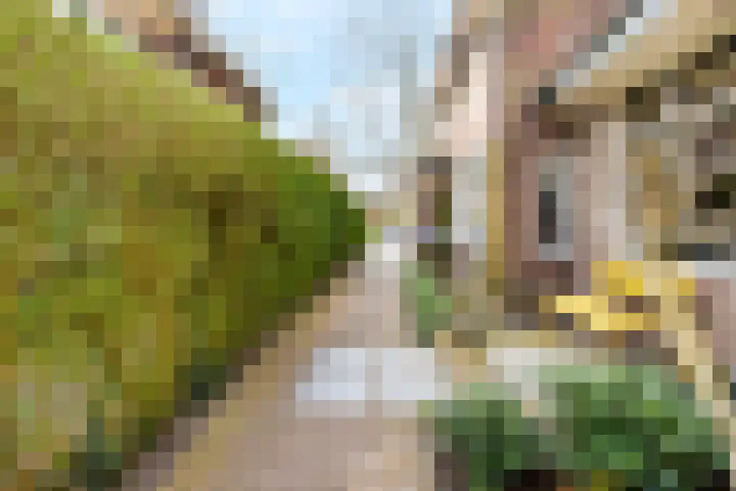 Laan van Leeuwesteyn 28 Voorburg thumbnail 56