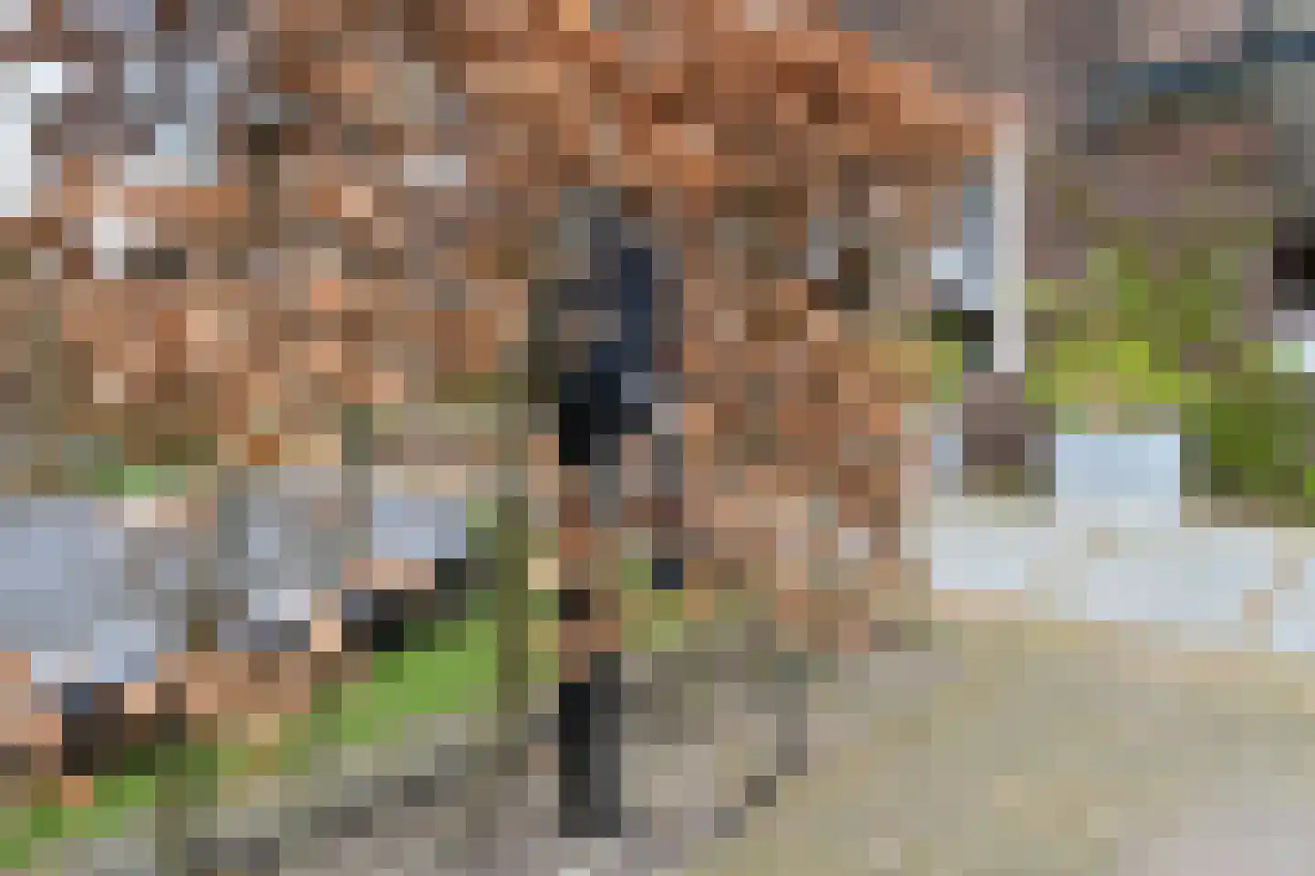Laan van Leeuwesteyn 28 Voorburg thumbnail 58