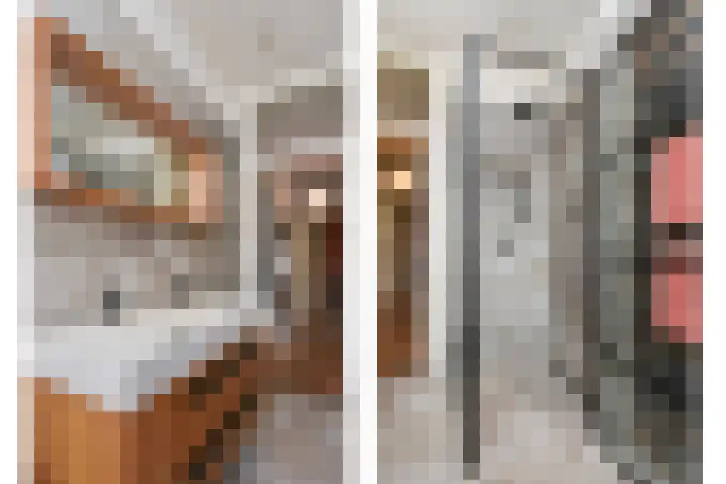 Laan van Leeuwesteyn 28 Voorburg thumbnail 71