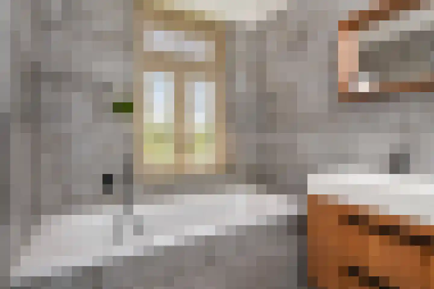 Laan van Leeuwesteyn 28 Voorburg thumbnail 73
