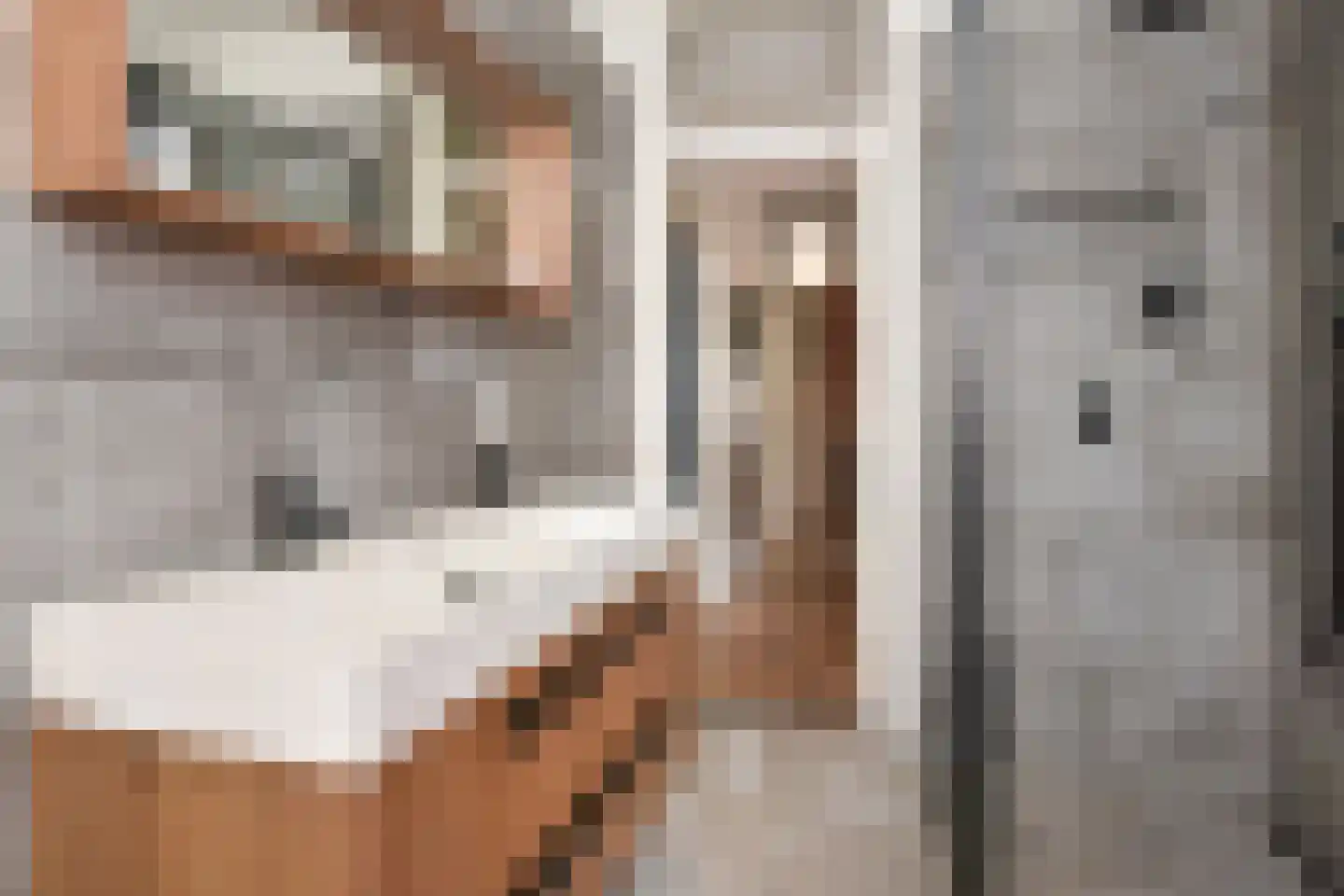 Laan van Leeuwesteyn 28 Voorburg thumbnail 74