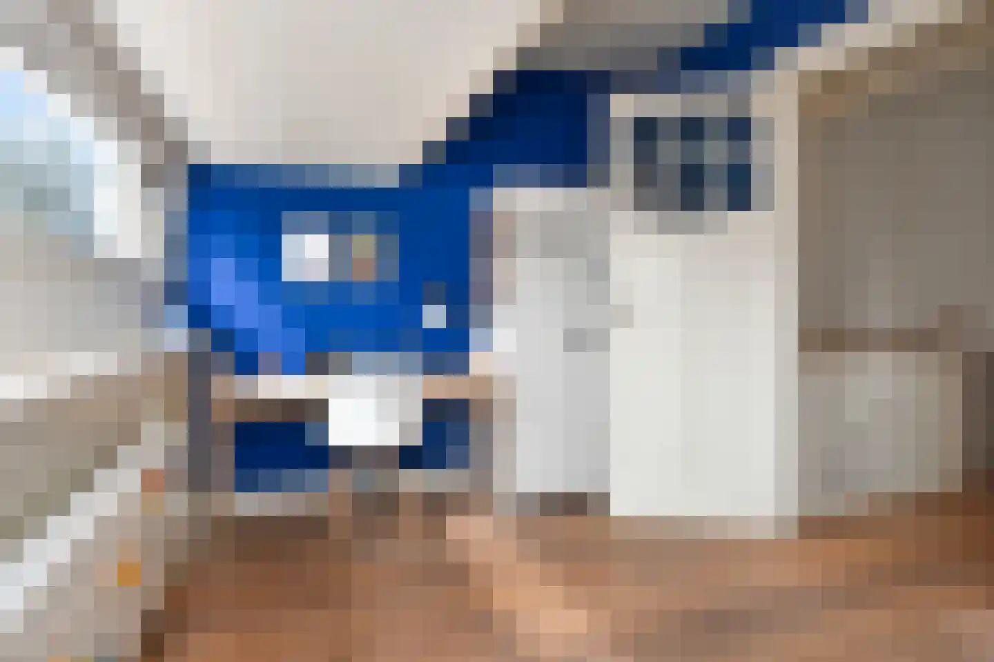 Laan van Leeuwesteyn 28 Voorburg thumbnail 81