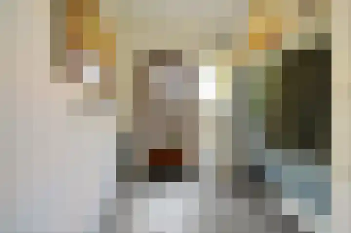 Laan van Leeuwesteyn 6 Voorburg thumbnail 10