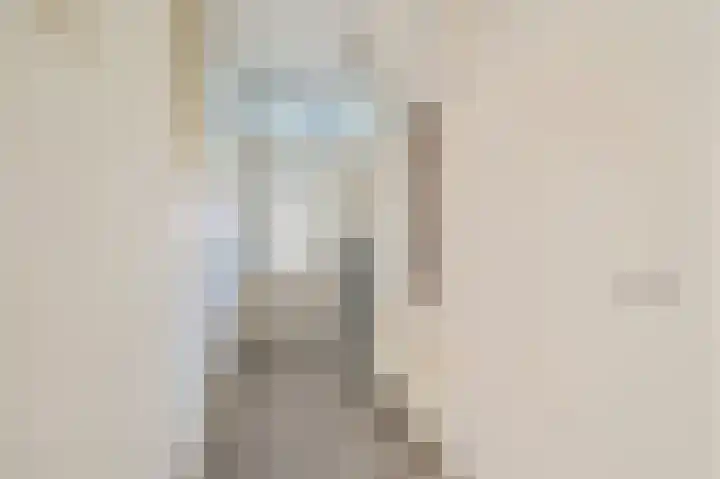 Laan van Leeuwesteyn 6 Voorburg thumbnail 11