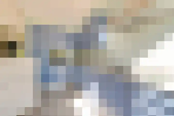 Laan van Leeuwesteyn 6 Voorburg thumbnail 20