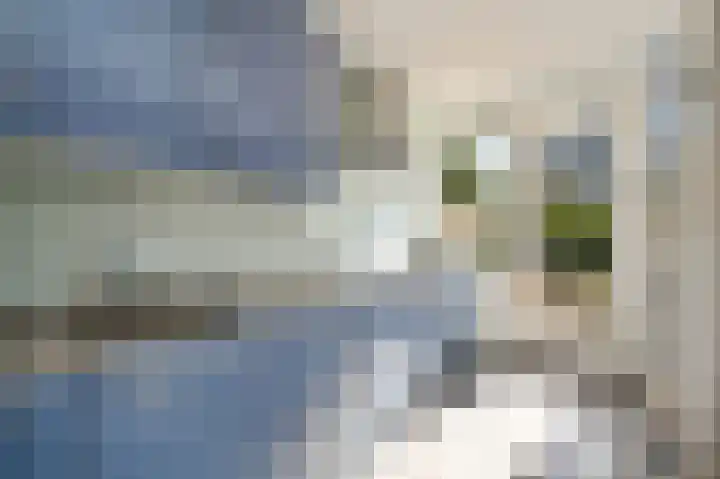 Laan van Leeuwesteyn 6 Voorburg thumbnail 21