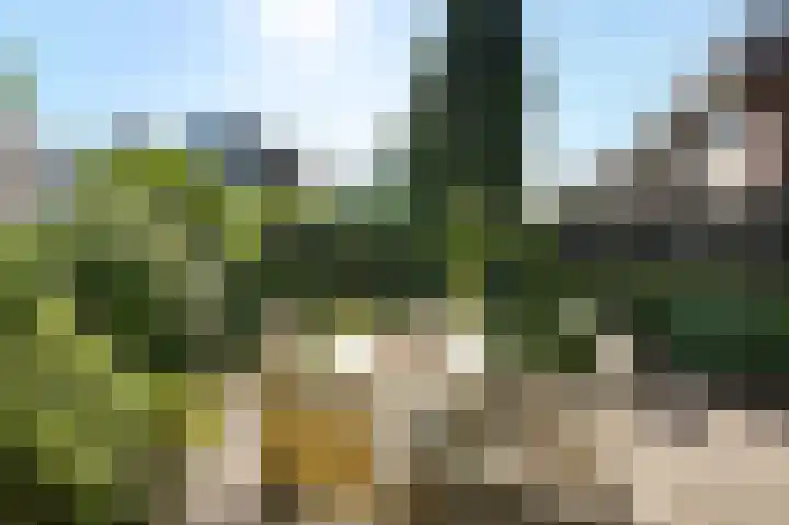 Laan van Leeuwesteyn 6 Voorburg thumbnail 22