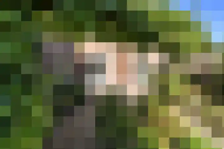 Laan van Leeuwesteyn 6 Voorburg thumbnail 23