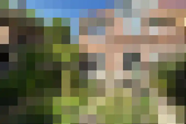 Laan van Leeuwesteyn 6 Voorburg thumbnail 24