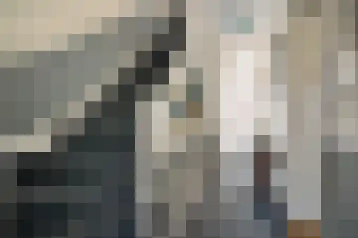 Laan van Leeuwesteyn 6 Voorburg thumbnail 26
