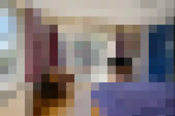 Laan van Leeuwesteyn 6 Voorburg thumbnail 29